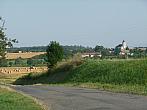 Třibřichy